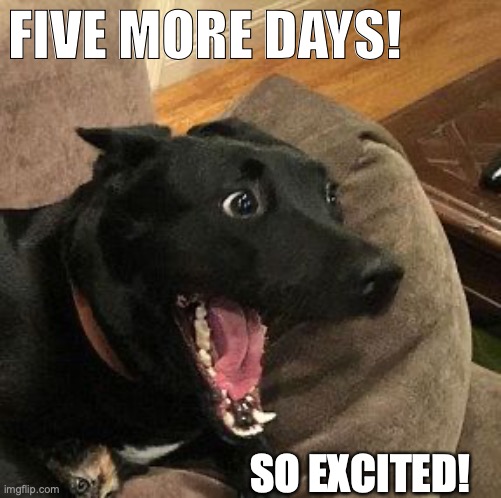 Overly Excited Dog | FIVE MORE DAYS! SO EXCITED! | image tagged in overly excited dog | made w/ Imgflip meme maker
