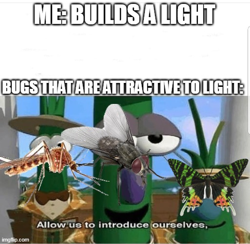 true |  ME: BUILDS A LIGHT; BUGS THAT ARE ATTRACTIVE TO LIGHT: | image tagged in allow us to introduce ourselves,bugs,funny memes,why are you reading the tags | made w/ Imgflip meme maker
