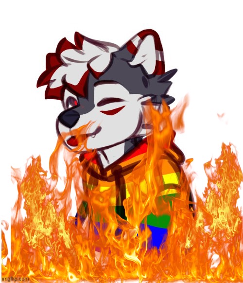 Burn the gay furry! | image tagged in anti furry | made w/ Imgflip meme maker