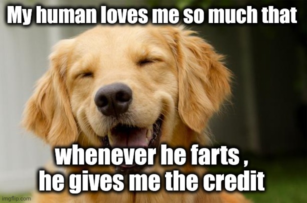 Happy Dog | My human loves me so much that whenever he farts , 
he gives me the credit | image tagged in happy dog | made w/ Imgflip meme maker