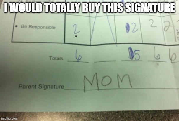 Hmm | I WOULD TOTALLY BUY THIS SIGNATURE | image tagged in mom,fake signaturee | made w/ Imgflip meme maker