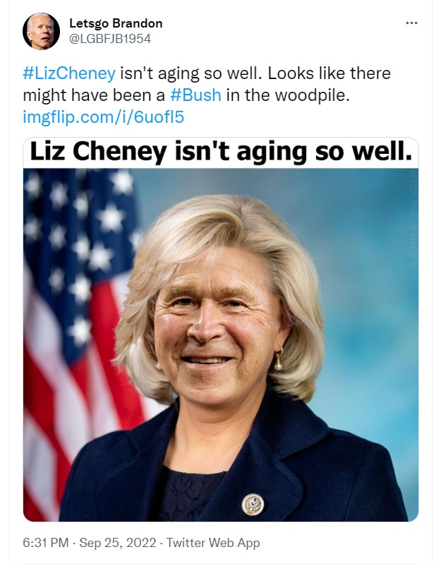 Liz Cheney Isn't Aging So Well. Letsgo Brandon Tweet - Imgflip