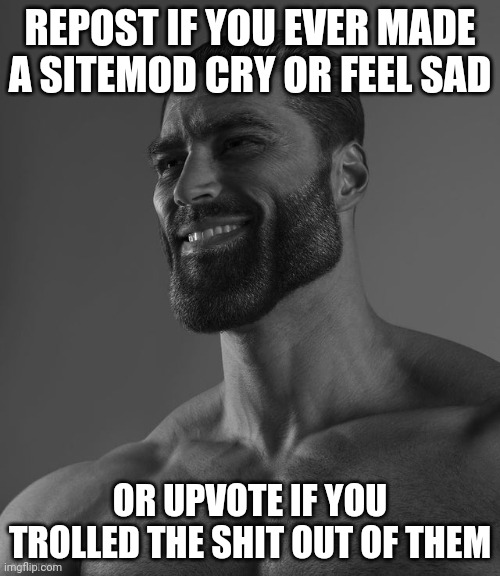 Giga Chad | REPOST IF YOU EVER MADE A SITEMOD CRY OR FEEL SAD; OR UPVOTE IF YOU TROLLED THE SHIT OUT OF THEM | image tagged in giga chad | made w/ Imgflip meme maker