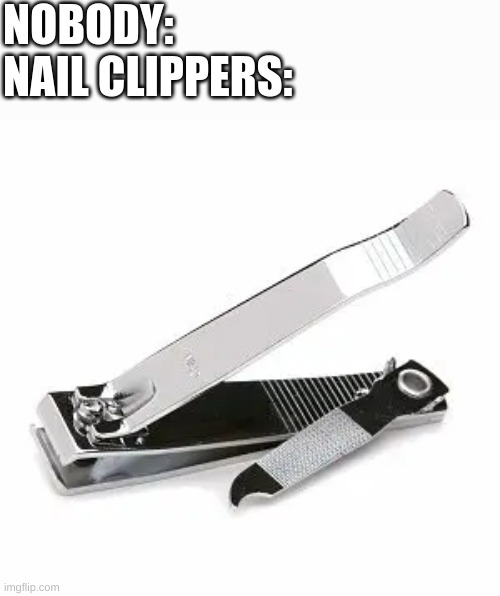 NOBODY:
NAIL CLIPPERS: | image tagged in nailed it,solar eclipse,aint nobody got time for that,shit,lol,gottem | made w/ Imgflip meme maker