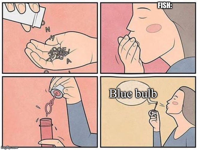 Fish | FISH:; Blue bulb | image tagged in eating words | made w/ Imgflip meme maker