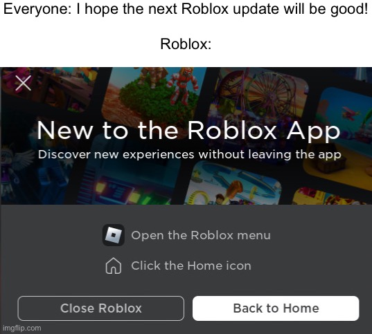 Annoyance | Everyone: I hope the next Roblox update will be good!
 
Roblox: | image tagged in annoyance | made w/ Imgflip meme maker