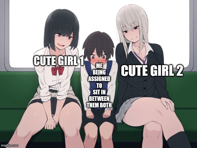 Always happens and it's so awkward | ME BEING ASSIGNED TO SIT IN BETWEEN THEM BOTH; CUTE GIRL 1; CUTE GIRL 2 | image tagged in anime women on train | made w/ Imgflip meme maker