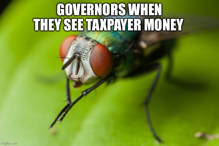 It’s all mine! | GOVERNORS WHEN THEY SEE TAXPAYER MONEY | image tagged in politics,government,money,memes | made w/ Imgflip meme maker