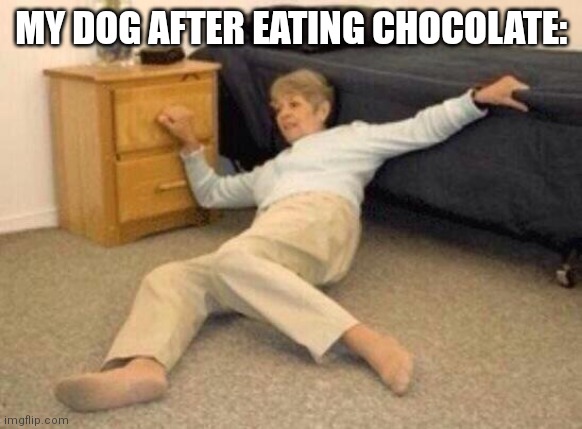 Hey guys, what do I do with the body? | MY DOG AFTER EATING CHOCOLATE: | image tagged in woman falling in shock,chocolate,dog,help | made w/ Imgflip meme maker
