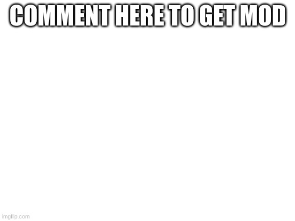 comment here to get mod | COMMENT HERE TO GET MOD | image tagged in blank white template | made w/ Imgflip meme maker