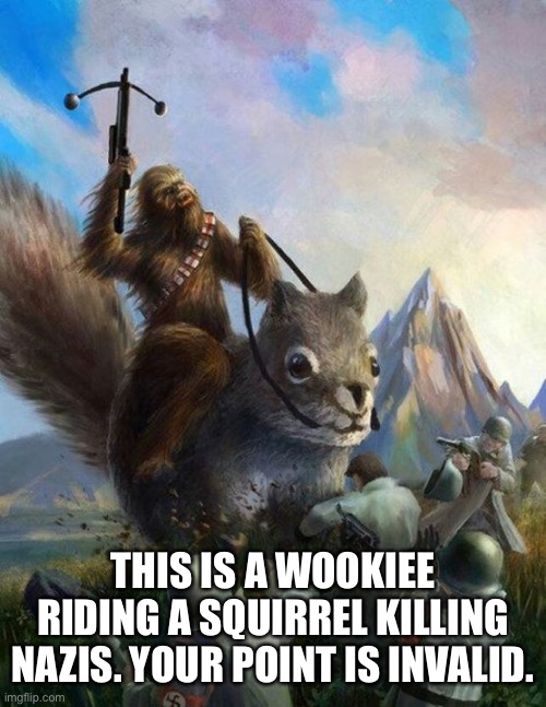 Wookie riding a squirrel killing nazis. Your argument is invalid | THIS IS A WOOKIEE RIDING A SQUIRREL KILLING NAZIS. YOUR POINT IS INVALID. | image tagged in wookie riding a squirrel killing nazis your argument is invalid | made w/ Imgflip meme maker