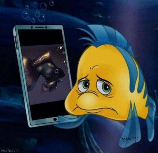 image tagged in the little mermaid,flounder,cartoon,live action movie,disney,little mermaid | made w/ Imgflip meme maker