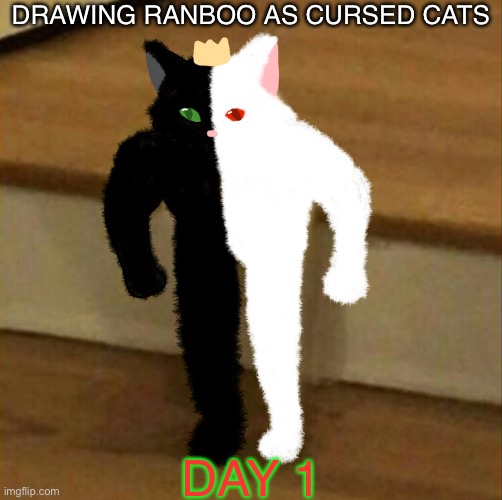 This is fun :D | DRAWING RANBOO AS CURSED CATS; DAY 1 | image tagged in ranboo | made w/ Imgflip meme maker