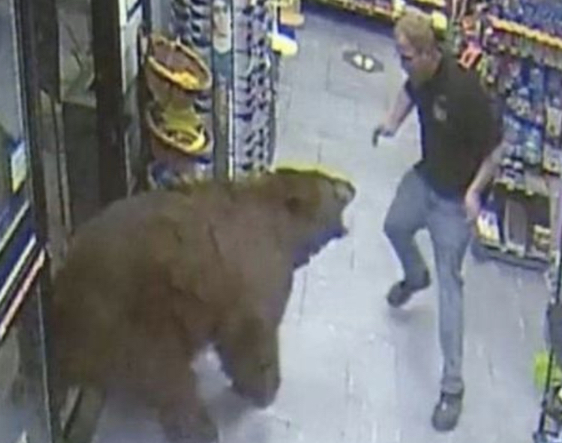 High Quality Facing a Bear in party store Blank Meme Template