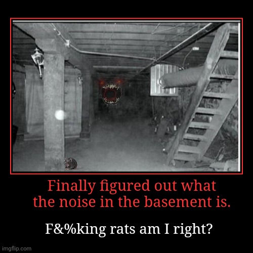 What's that noise? | image tagged in funny,demotivationals,basement,rats,this is not okie dokie | made w/ Imgflip demotivational maker