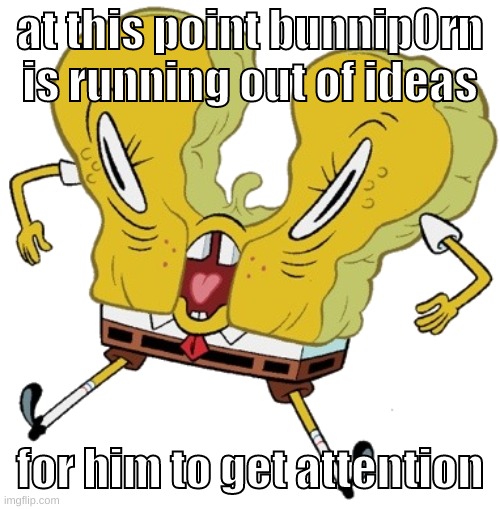 idfk what to put here | at this point bunnip0rn is running out of ideas; for him to get attention | image tagged in memes,funny,cursed sponge,bunnip0rn,ideas,attention | made w/ Imgflip meme maker