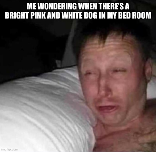Sleepy guy | ME WONDERING WHEN THERE’S A BRIGHT PINK AND WHITE DOG IN MY BED ROOM | image tagged in sleepy guy | made w/ Imgflip meme maker