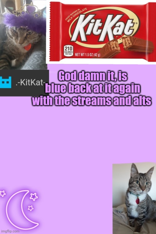 Kittys announcement template kitkat addition | God damn it, is blue back at it again with the streams and alts | image tagged in kittys announcement template kitkat addition | made w/ Imgflip meme maker