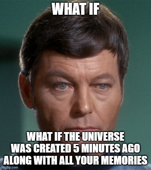 McCoy Damnit | WHAT IF; WHAT IF THE UNIVERSE WAS CREATED 5 MINUTES AGO ALONG WITH ALL YOUR MEMORIES | image tagged in mccoy damnit | made w/ Imgflip meme maker