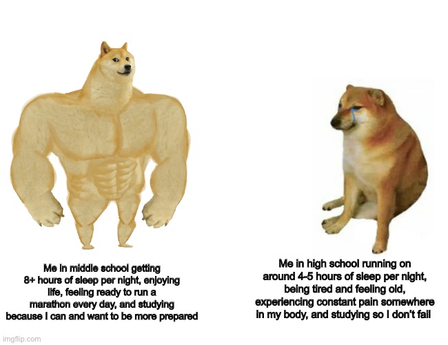 Buff Doge vs. Cheems | Me in high school running on around 4-5 hours of sleep per night, being tired and feeling old, experiencing constant pain somewhere in my body, and studying so I don’t fail; Me in middle school getting 8+ hours of sleep per night, enjoying life, feeling ready to run a marathon every day, and studying because I can and want to be more prepared | image tagged in memes,buff doge vs cheems | made w/ Imgflip meme maker