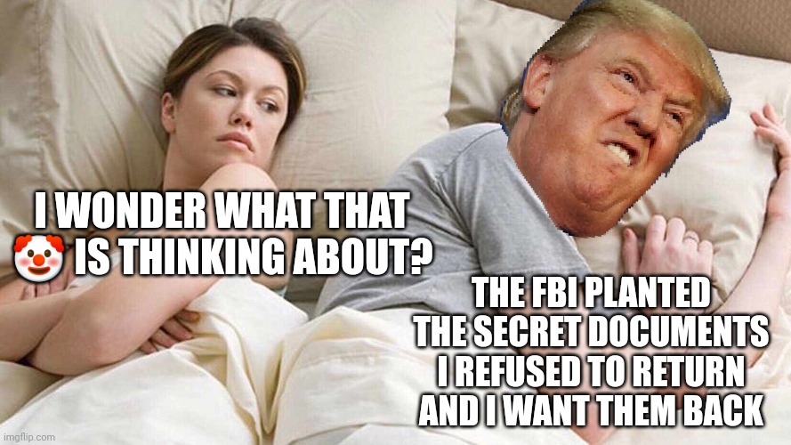 Trump ? | I WONDER WHAT THAT 🤡 IS THINKING ABOUT? THE FBI PLANTED THE SECRET DOCUMENTS I REFUSED TO RETURN AND I WANT THEM BACK | image tagged in i wonder what trump is thinking | made w/ Imgflip meme maker