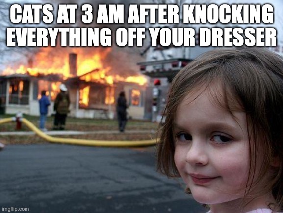 Disaster Girl | CATS AT 3 AM AFTER KNOCKING EVERYTHING OFF YOUR DRESSER | image tagged in memes,disaster girl | made w/ Imgflip meme maker