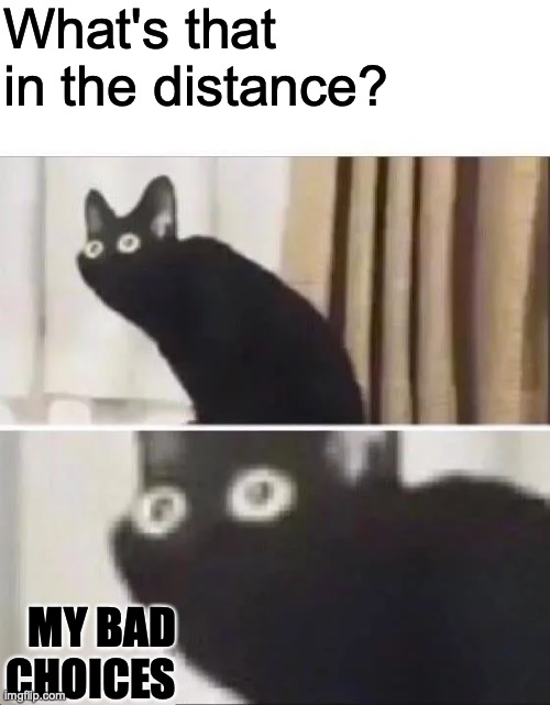 Cats make so many bad choices | What's that in the distance? MY BAD CHOICES | image tagged in oh no black cat | made w/ Imgflip meme maker