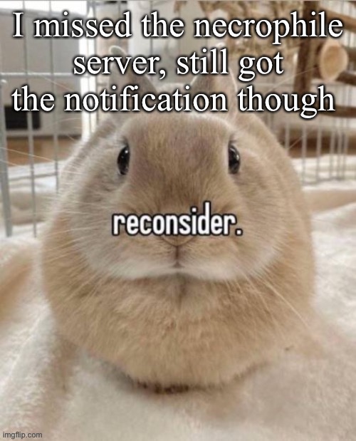 reconsider | I missed the necrophile server, still got the notification though | image tagged in reconsider | made w/ Imgflip meme maker