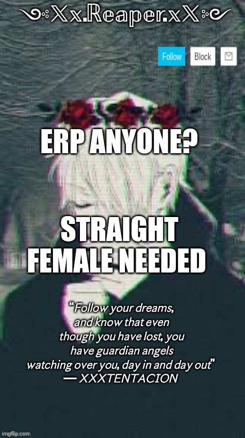 Erp? | ERP ANYONE? STRAIGHT FEMALE NEEDED | image tagged in rep temp | made w/ Imgflip meme maker