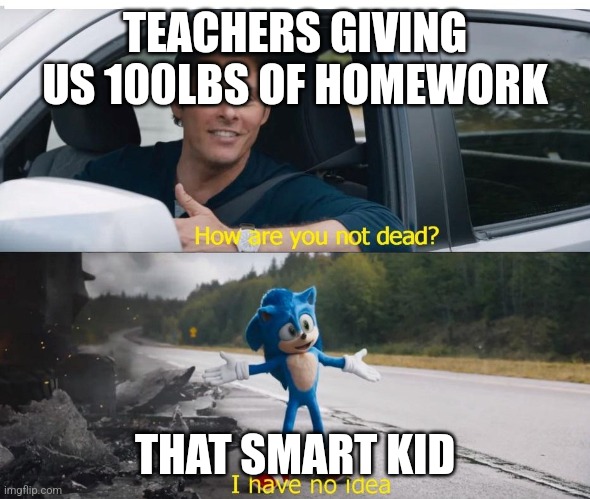 sonic how are you not dead | TEACHERS GIVING US 100LBS OF HOMEWORK; THAT SMART KID | image tagged in sonic how are you not dead | made w/ Imgflip meme maker