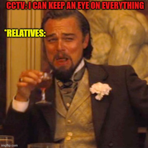 HEHE | CCTV: I CAN KEEP AN EYE ON EVERYTHING; *RELATIVES: | image tagged in memes,laughing leo | made w/ Imgflip meme maker