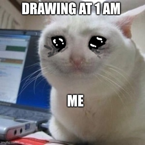 Crying cat | DRAWING AT 1 AM ME | image tagged in crying cat | made w/ Imgflip meme maker