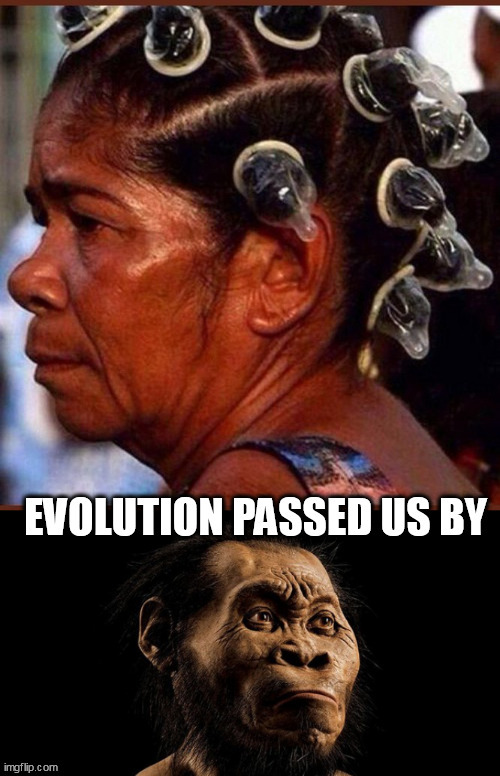 evo | image tagged in evo | made w/ Imgflip meme maker