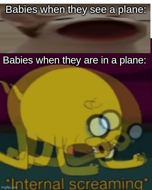 i just realized | Babies when they see a plane:; Babies when they are in a plane: | image tagged in jake the dog internal screaming | made w/ Imgflip meme maker