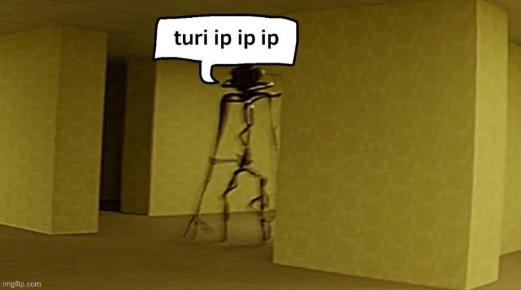 Picture I found on the internet | image tagged in backrooms turp ip ip | made w/ Imgflip meme maker