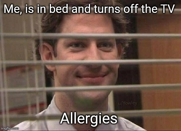Devious jim | Me, is in bed and turns off the TV; Allergies | image tagged in devious jim | made w/ Imgflip meme maker