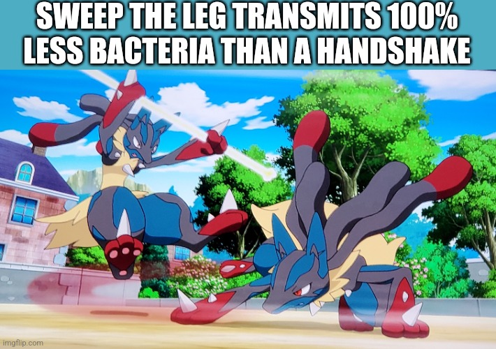 Sweep the leg | SWEEP THE LEG TRANSMITS 100% LESS BACTERIA THAN A HANDSHAKE | made w/ Imgflip meme maker