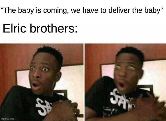 fma meme | "The baby is coming, we have to deliver the baby"; Elric brothers: | image tagged in shocked black guy | made w/ Imgflip meme maker