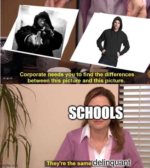 Me when i put on my hood | SCHOOLS; delinquant | image tagged in memes,they're the same picture | made w/ Imgflip meme maker