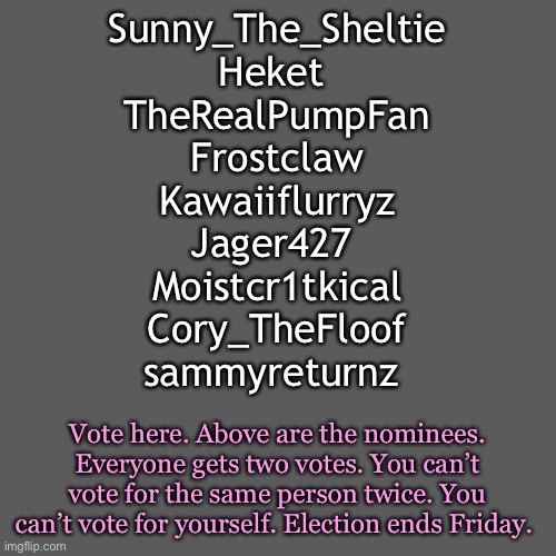 I love you guys!! Sorry this took so long to get out!! |  Sunny_The_Sheltie
Heket 
TheRealPumpFan
Frostclaw
Kawaiiflurryz
Jager427 
Moistcr1tkical
Cory_TheFloof
sammyreturnz; Vote here. Above are the nominees. Everyone gets two votes. You can’t vote for the same person twice. You can’t vote for yourself. Election ends Friday. | image tagged in memes,blank transparent square | made w/ Imgflip meme maker