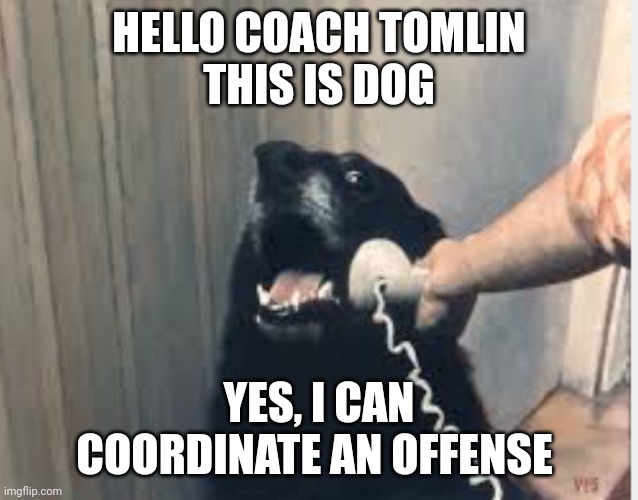 Hello yes this is dog | HELLO COACH TOMLIN
THIS IS DOG; YES, I CAN COORDINATE AN OFFENSE | image tagged in hello yes this is dog | made w/ Imgflip meme maker