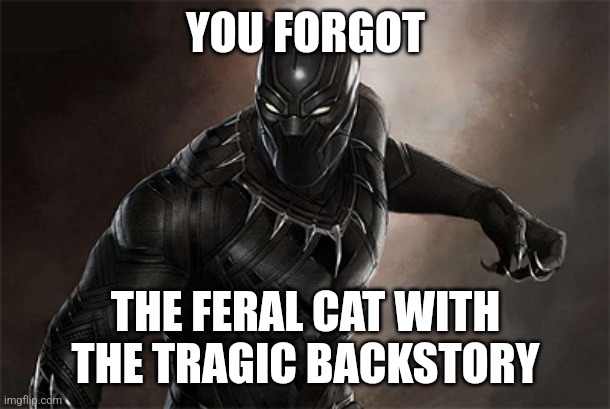 Black Panther | YOU FORGOT THE FERAL CAT WITH THE TRAGIC BACKSTORY | image tagged in black panther | made w/ Imgflip meme maker