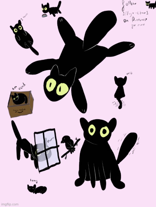 When you don’t know cat anatomy feat Io (my cat) | image tagged in cat,cute cat,art,black cat,oh no black cat | made w/ Imgflip meme maker