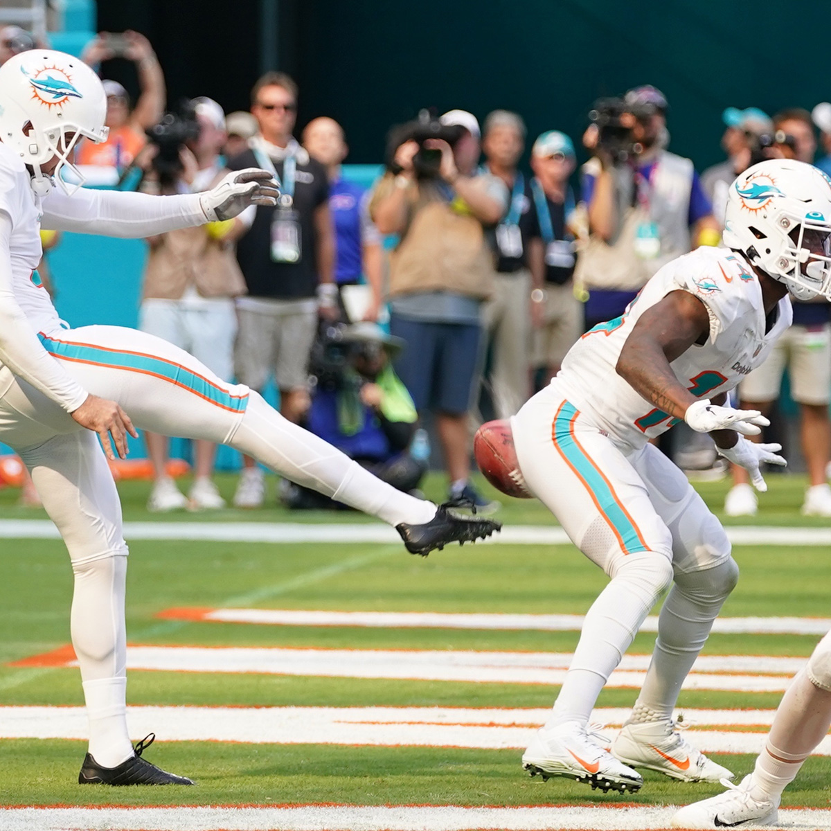 High Quality Dolphins punt Blank Meme Template