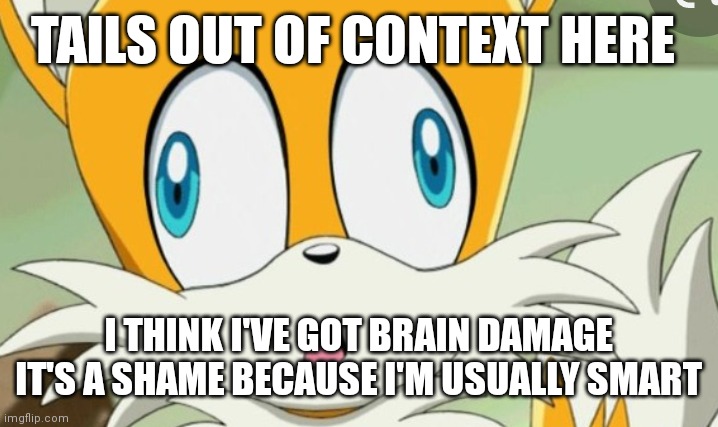 It is a shame | TAILS OUT OF CONTEXT HERE; I THINK I'VE GOT BRAIN DAMAGE IT'S A SHAME BECAUSE I'M USUALLY SMART | image tagged in funny memes | made w/ Imgflip meme maker