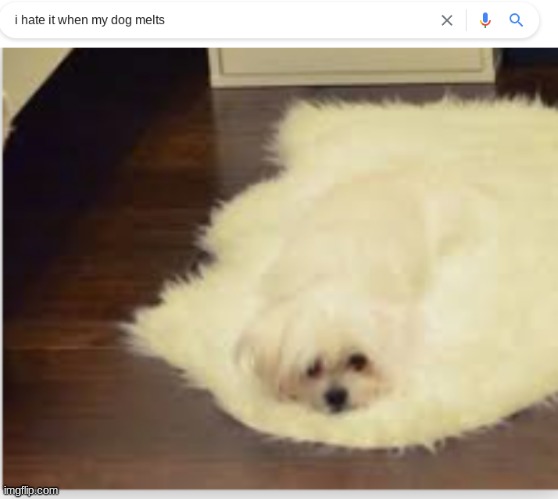 i hate it | image tagged in dog | made w/ Imgflip meme maker