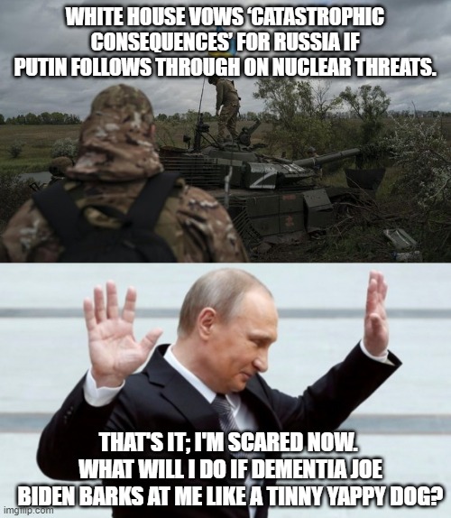 Yep . . . what will Putin do? | WHITE HOUSE VOWS ‘CATASTROPHIC CONSEQUENCES’ FOR RUSSIA IF PUTIN FOLLOWS THROUGH ON NUCLEAR THREATS. THAT'S IT; I'M SCARED NOW.  WHAT WILL I DO IF DEMENTIA JOE BIDEN BARKS AT ME LIKE A TINNY YAPPY DOG? | image tagged in joe squeaks | made w/ Imgflip meme maker