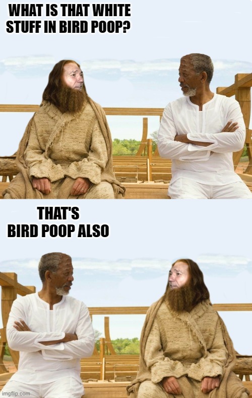 Just wondering | WHAT IS THAT WHITE STUFF IN BIRD POOP? THAT'S BIRD POOP ALSO | image tagged in lew and god,bird poop | made w/ Imgflip meme maker