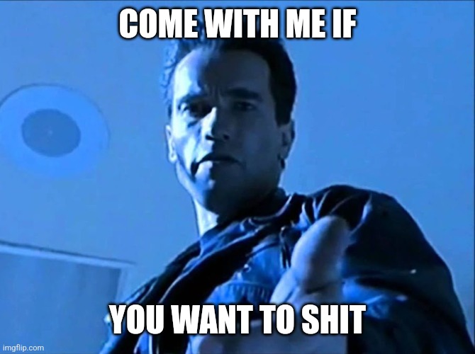 Heh | COME WITH ME IF; YOU WANT TO SHIT | image tagged in memes,arnold schwarzenegger,terminator 2 | made w/ Imgflip meme maker