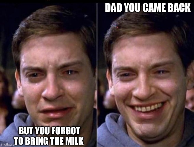 spider man | DAD YOU CAME BACK; BUT YOU FORGOT TO BRING THE MILK | image tagged in spider man | made w/ Imgflip meme maker